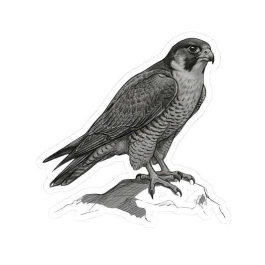 "Pencil Sketch Art Falcon" Sticker — Main