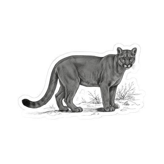 "Pencil Sketch Art Mountain Lion" Sticker — Main