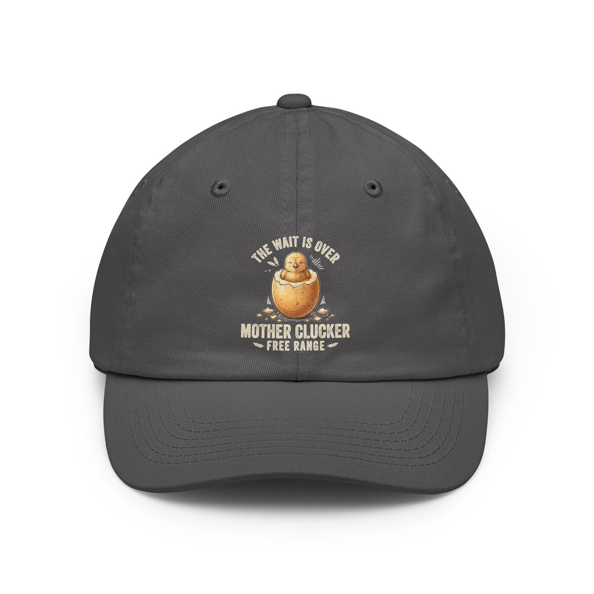 Color: Charcoal | The Wait is Over Dad Hat