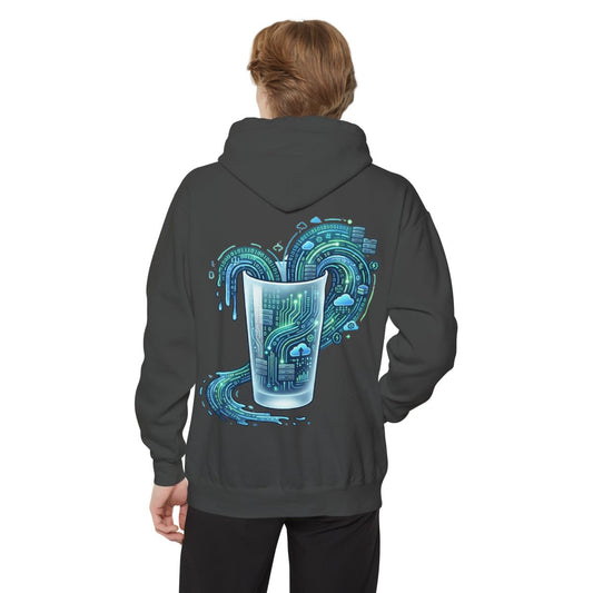Color: Pepper | Glass of Data Garment-Dyed Hoodie