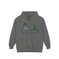 It's About the Size of Your Data Set | Garment-Dyed Hoodie — AttitudeShirts