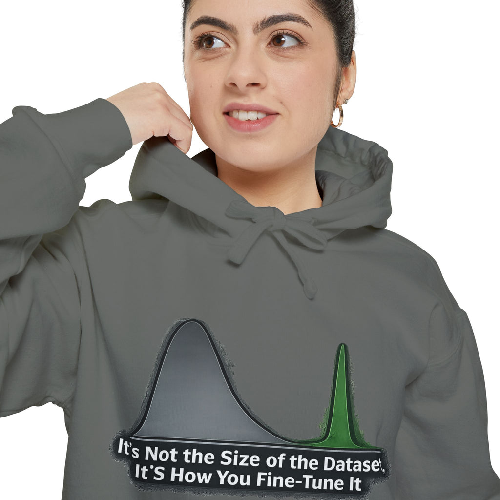It's About the Size of Your Data Set | Garment-Dyed Hoodie — AttitudeShirts