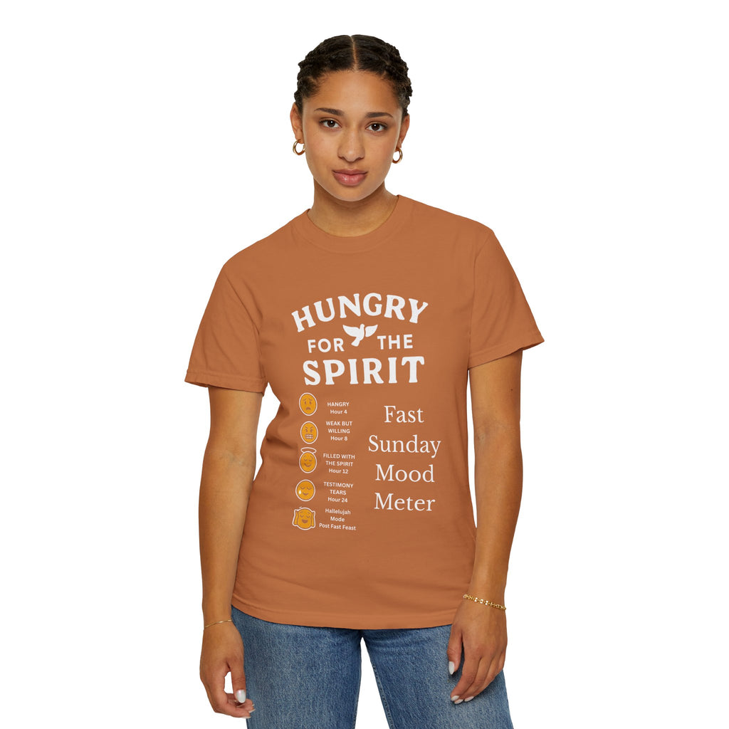 "Fast Sunday Mood Meter" Unisex Garment-Dyed T-shirt