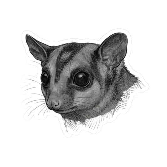 "Pencil Sketch Art Sugar Glider" Sticker