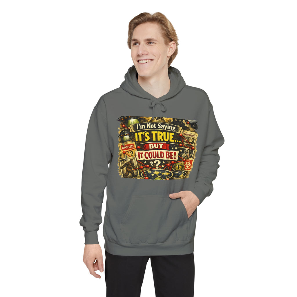 Just Sayin' Plausible Deniability Tee | Garment-Dyed Hoodie — AttitudeShirts