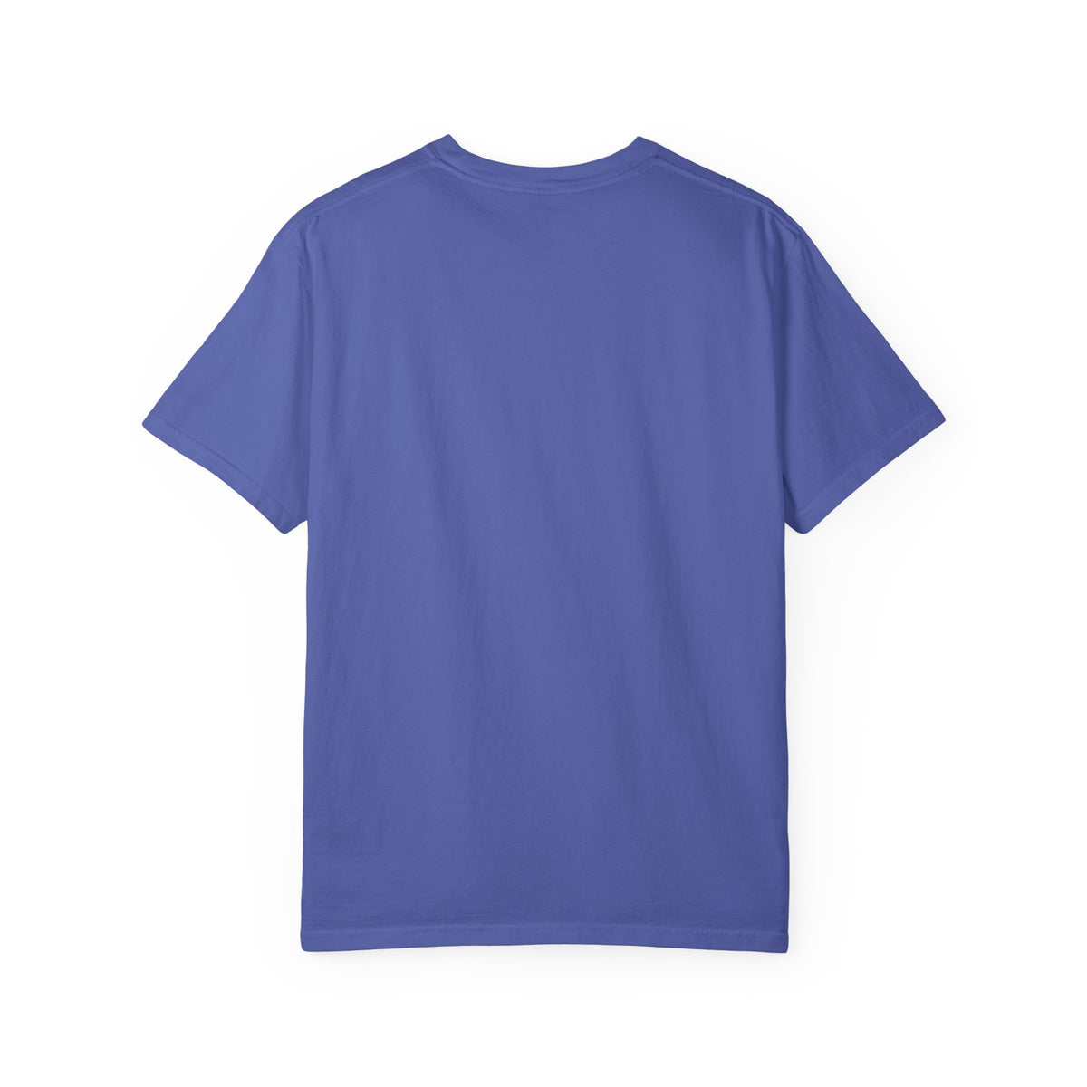 We Are Way Too Old For This Unisex Garment-Dyed Tee