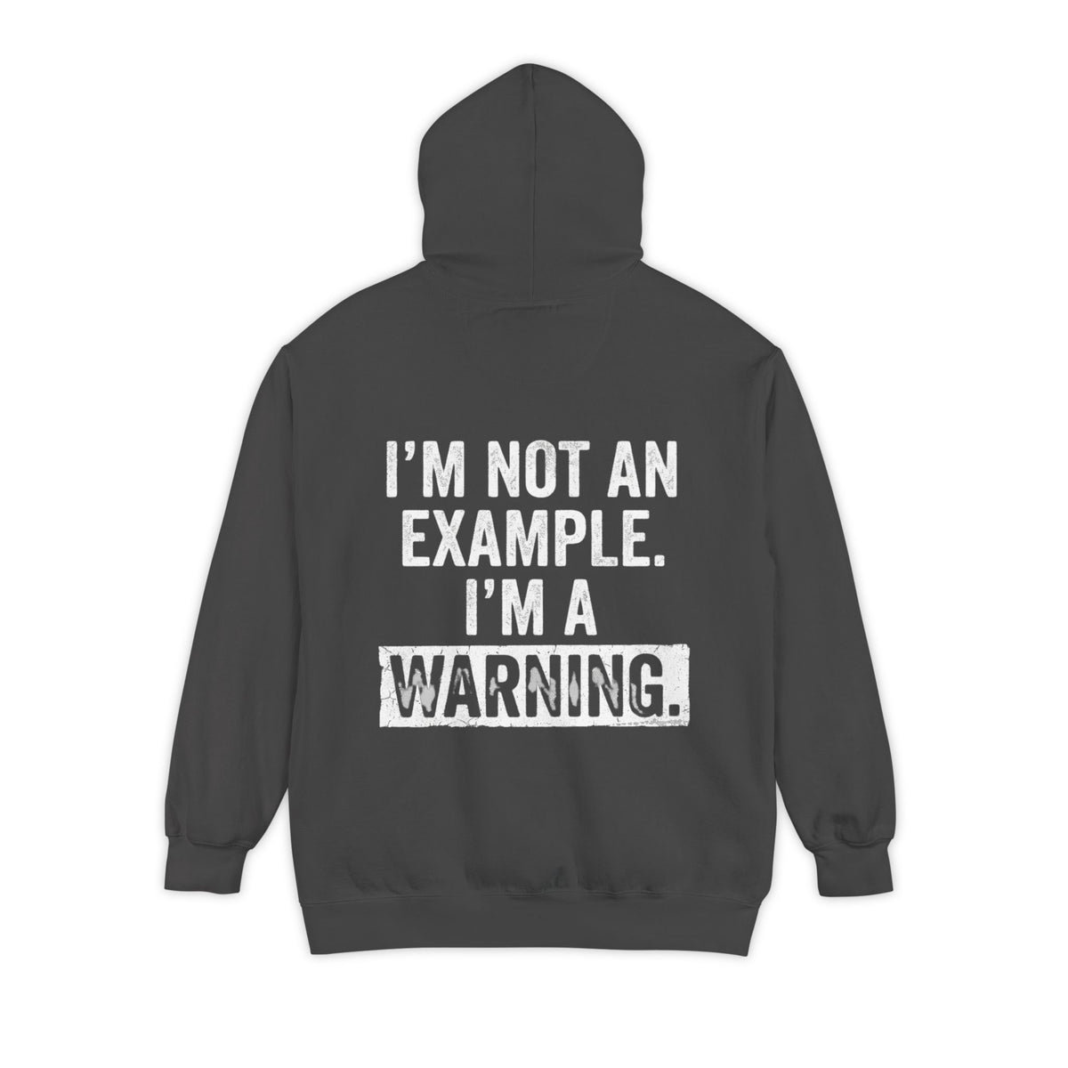Color: Pepper | I'm Not An Example Garment-Dyed Hoodie