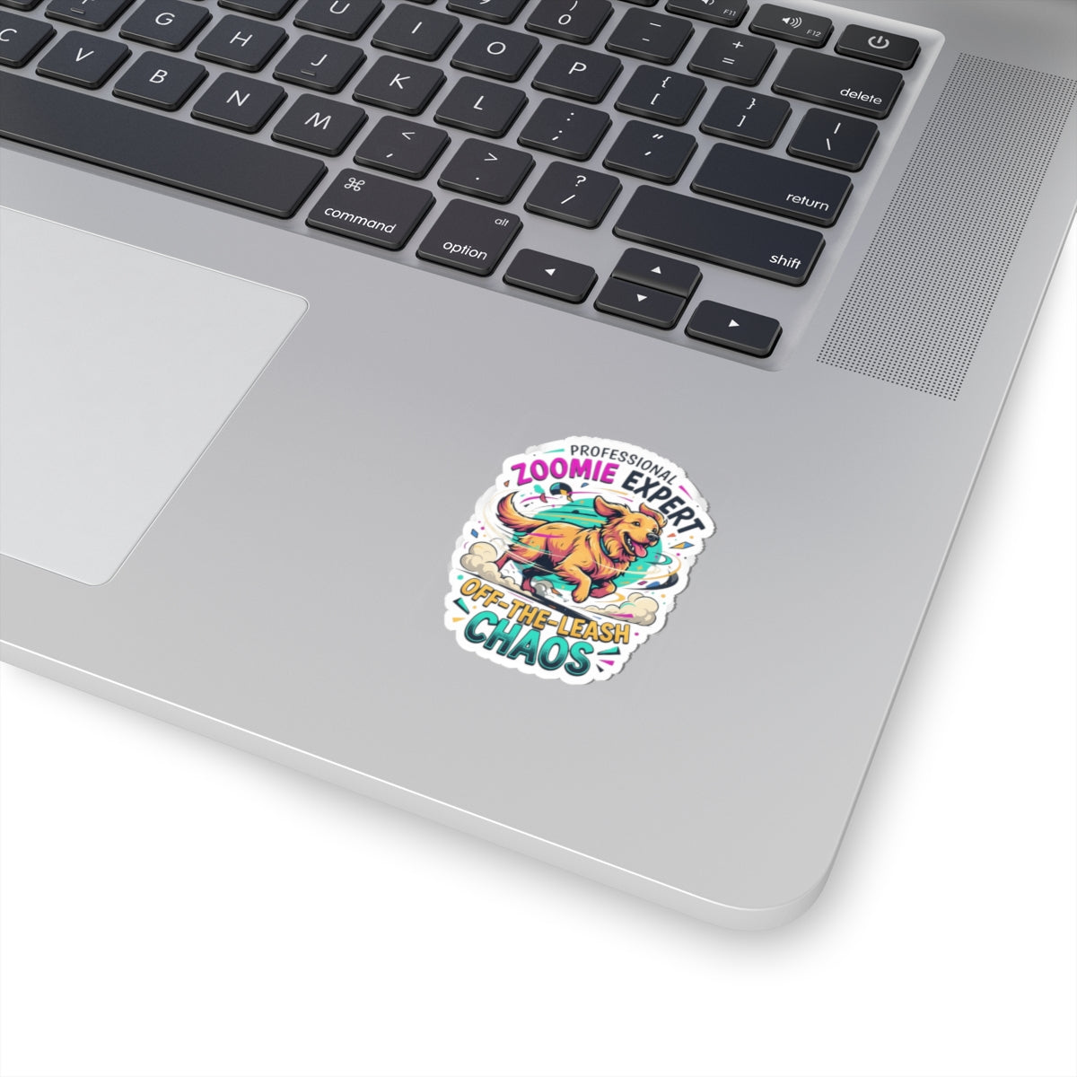 "Professional Zoomie Expert" Sticker — Main