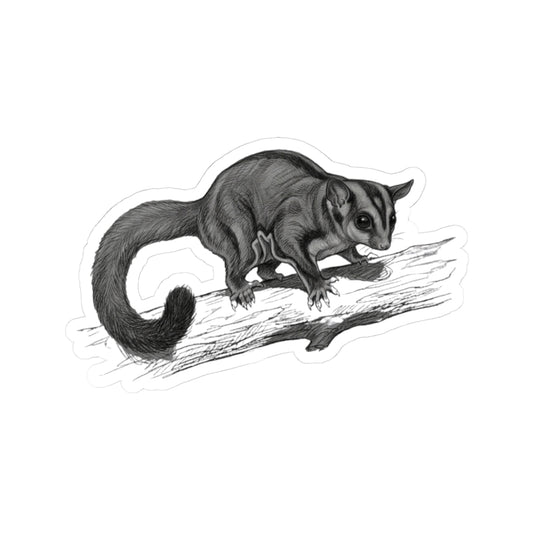 "Pencil Sketch Art Sugar Glider" Sticker — Main