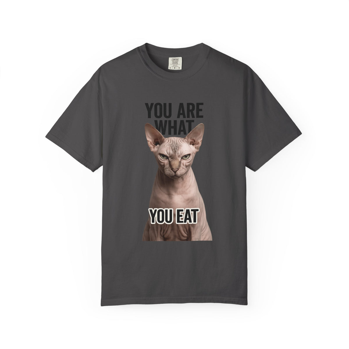 Color: Graphite | You Are What You Eat - Cat 1 Unisex Garment-Dyed T-shirt