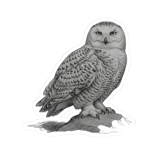 "Pencil Sketch Art Owl" Sticker — Main
