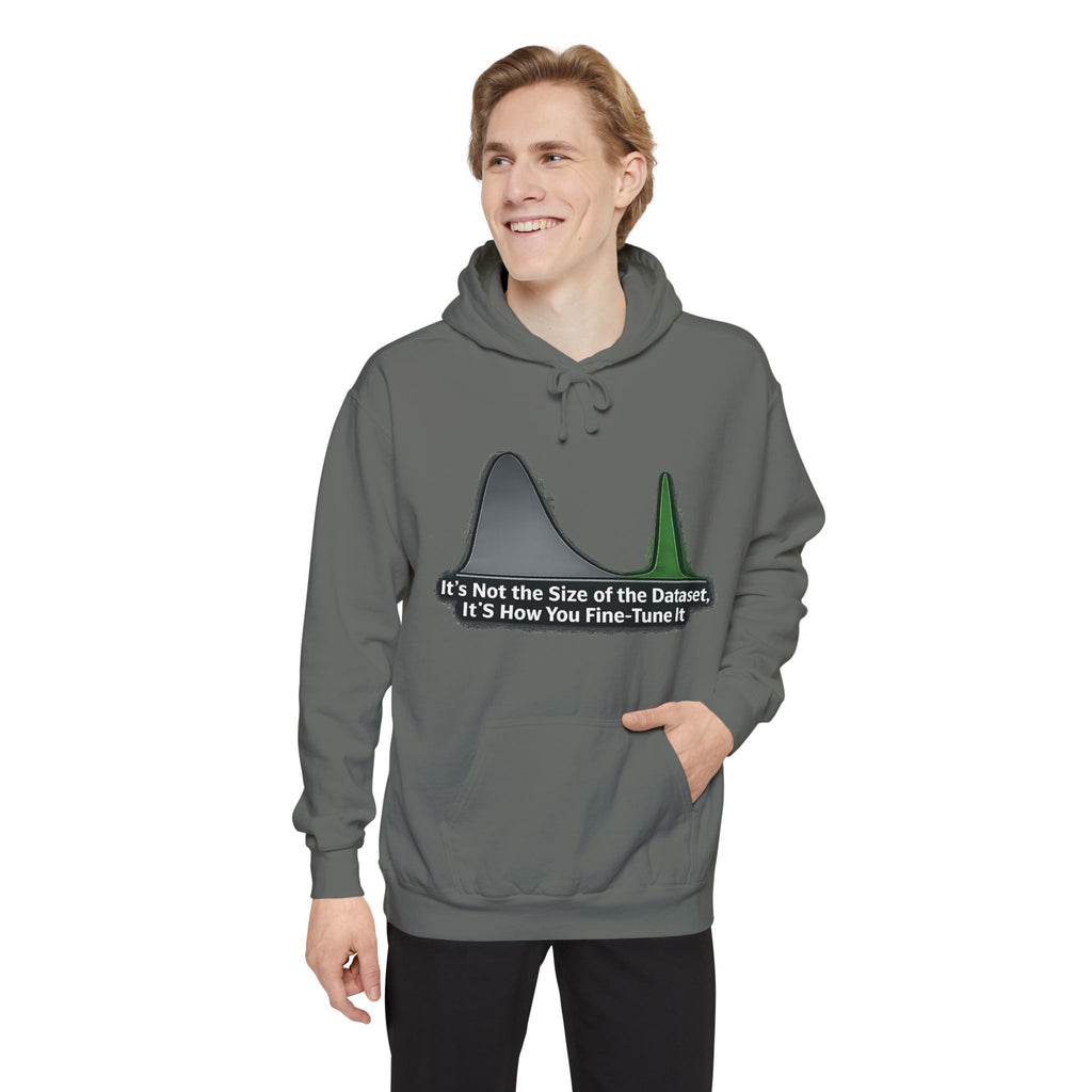 It's About the Size of Your Data Set | Garment-Dyed Hoodie — AttitudeShirts