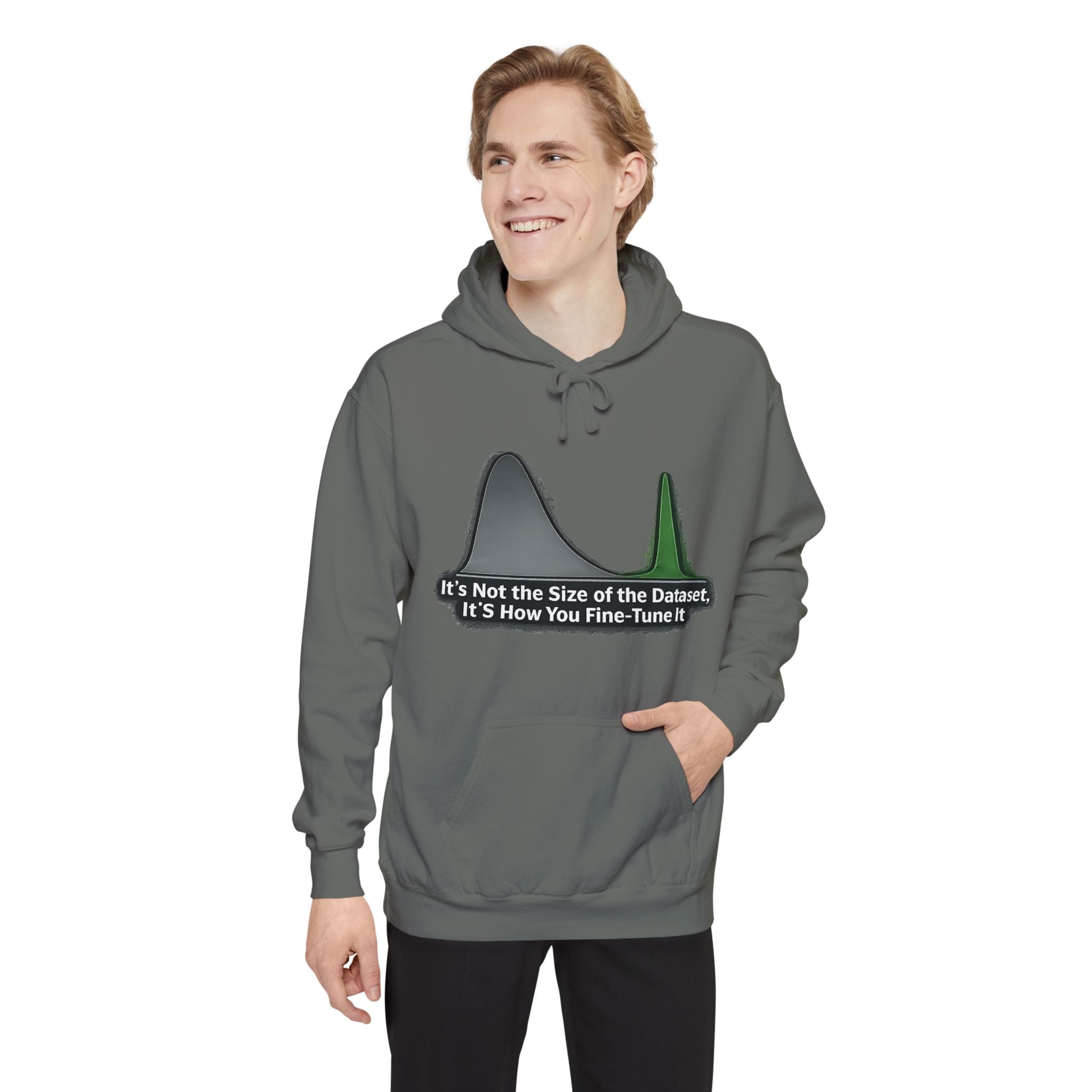 It's About the Size of Your Data Set | Garment-Dyed Hoodie — AttitudeShirts