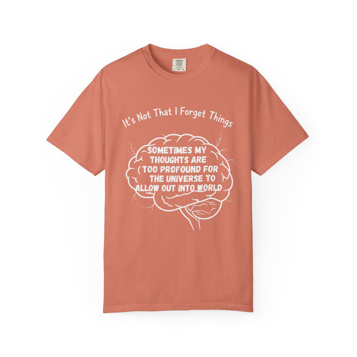 Color: Terracotta | Profound Thoughts 2 Unisex Garment-Dyed T-shirt