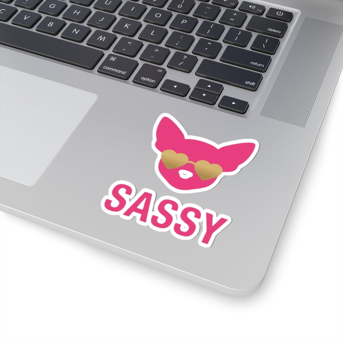 "Sassy Since Birth" Sticker