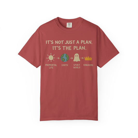 "It's The Plan" Unisex Garment-Dyed T-shirt