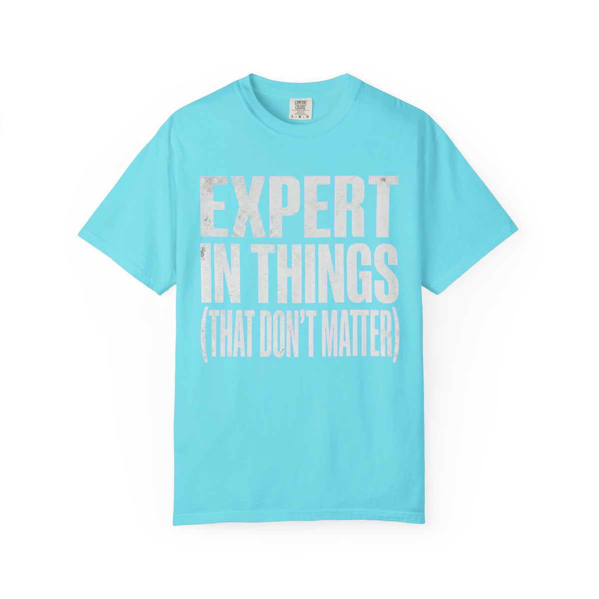 Color: Lagoon Blue | Expert In Things Unisex Garment-Dyed Tee