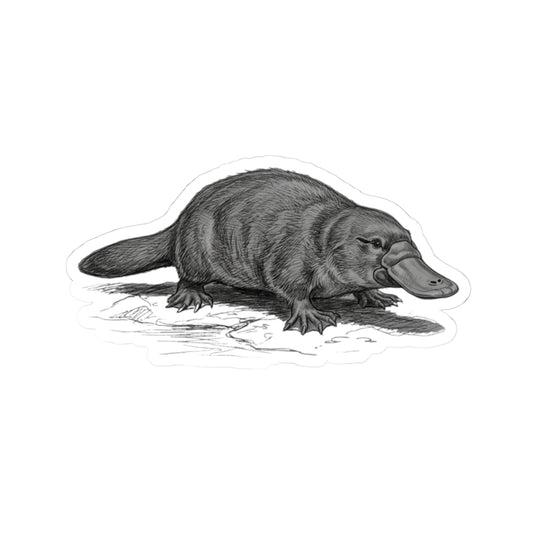 "Pencil Sketch Art Platypus" Sticker — Main