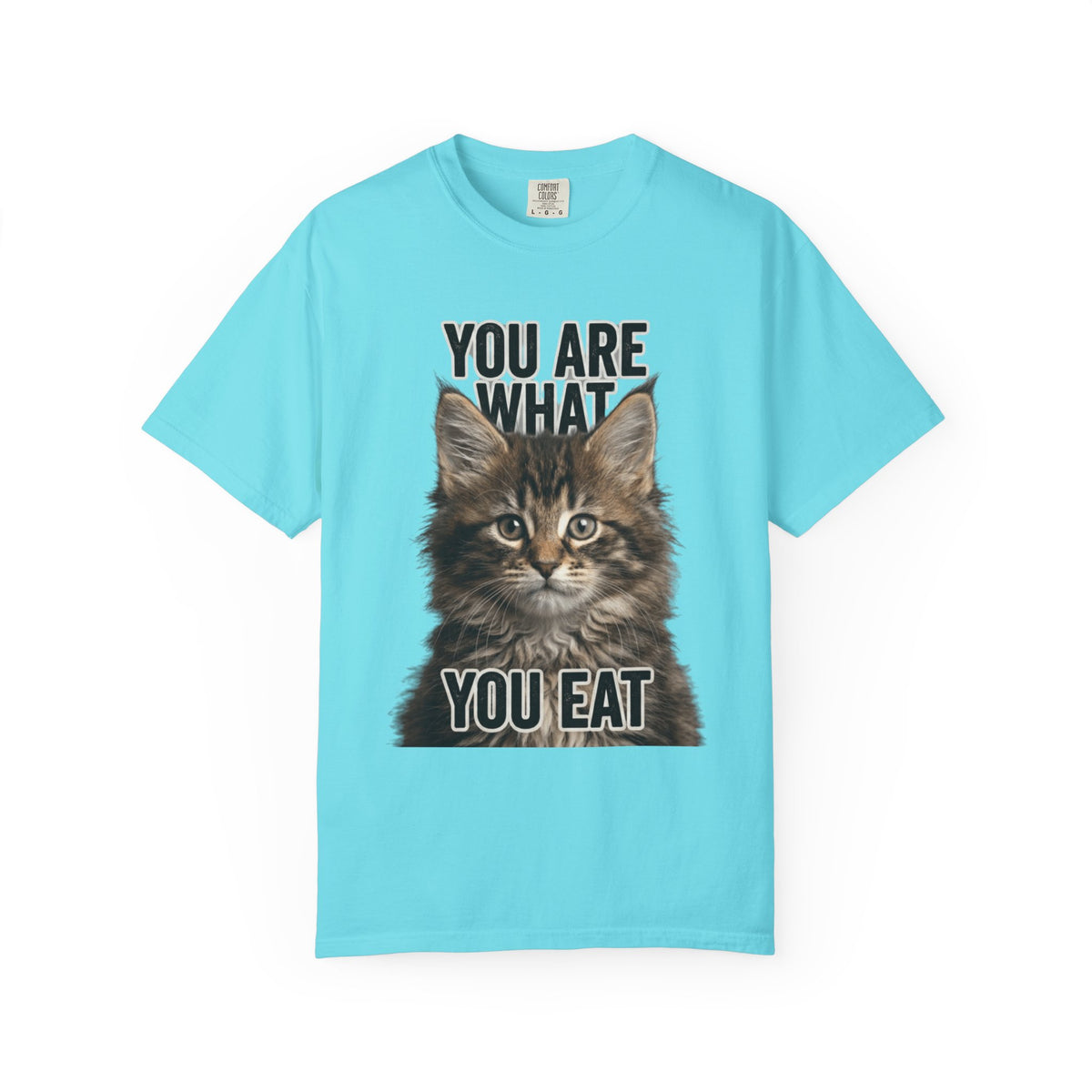 Color: Lagoon Blue | You Are What You Eat - Cat 4 Unisex Garment-Dyed T-shirt