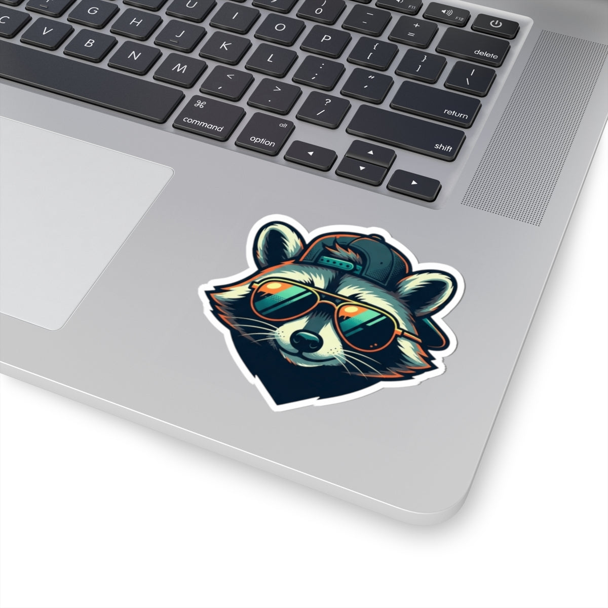 "Raccoon Energy" Sticker