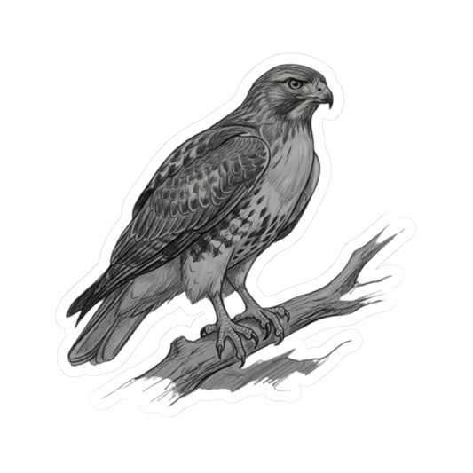"Pencil Sketch Art Red-Tailed Hawk" Sticker — Main