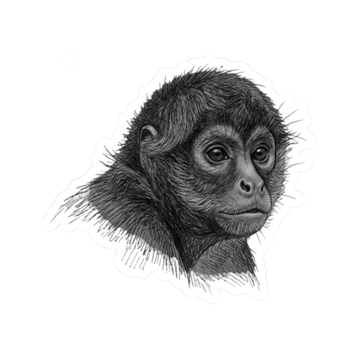 "Pencil Sketch Art Spider Monkey" Sticker