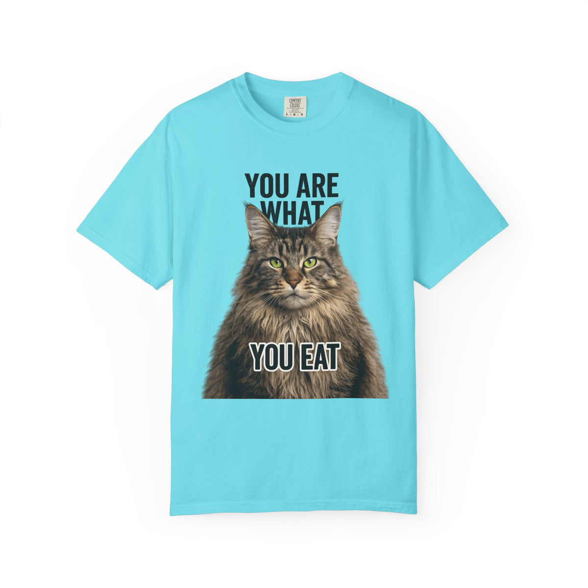 Color: Lagoon Blue | You Are What You Eat - Cat 5 Unisex Garment-Dyed T-shirt