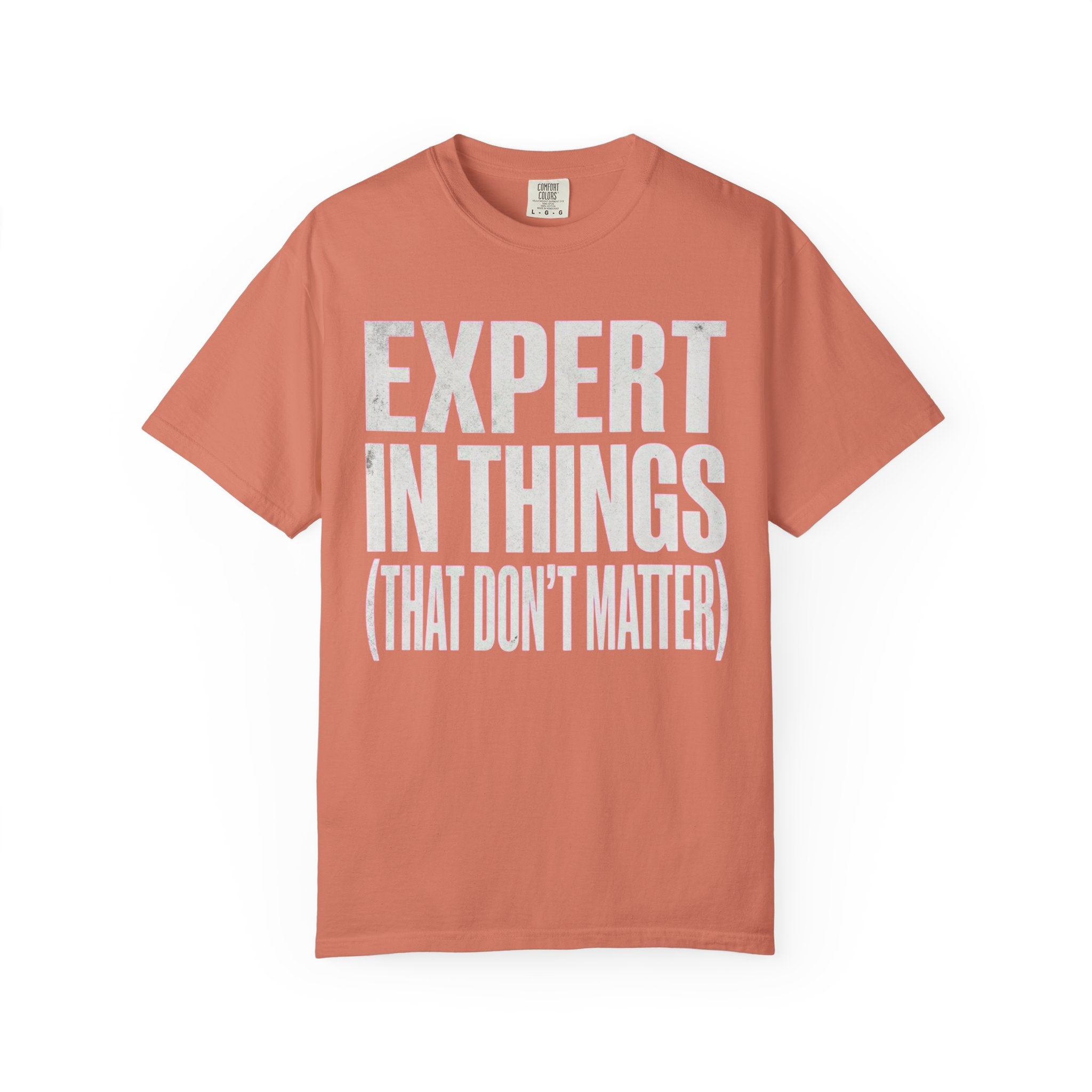 "Expert In Things" Unisex Garment-Dyed Tee