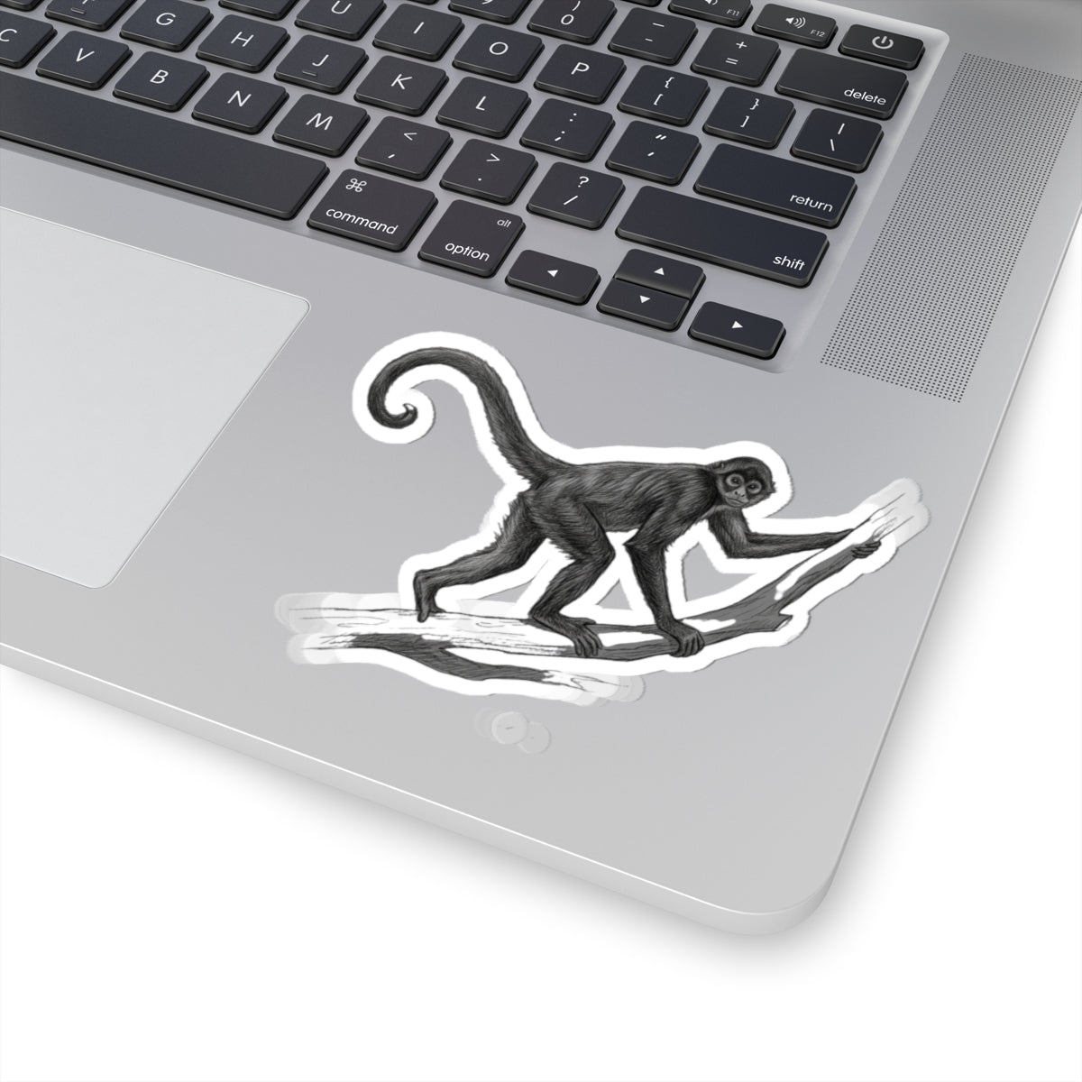"Pencil Sketch Art Spider Monkey" Sticker — Main