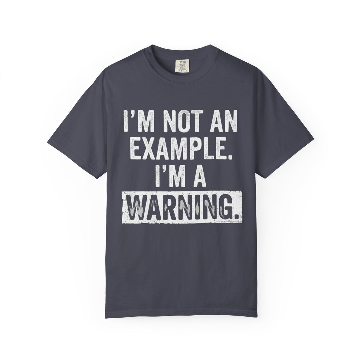 Color: Navy | I'm Not An Example Unisex Garment-Dyed Tee
