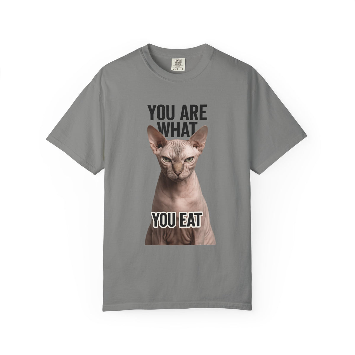 Color: Granite | You Are What You Eat - Cat 1 Unisex Garment-Dyed T-shirt