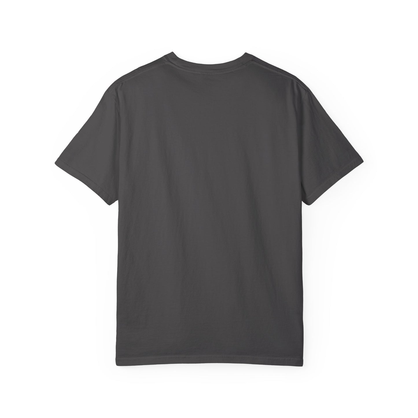 ""KEEP CALM AND BLAME THE OTHER PARTY" Unisex Garment-Dyed T-shirt