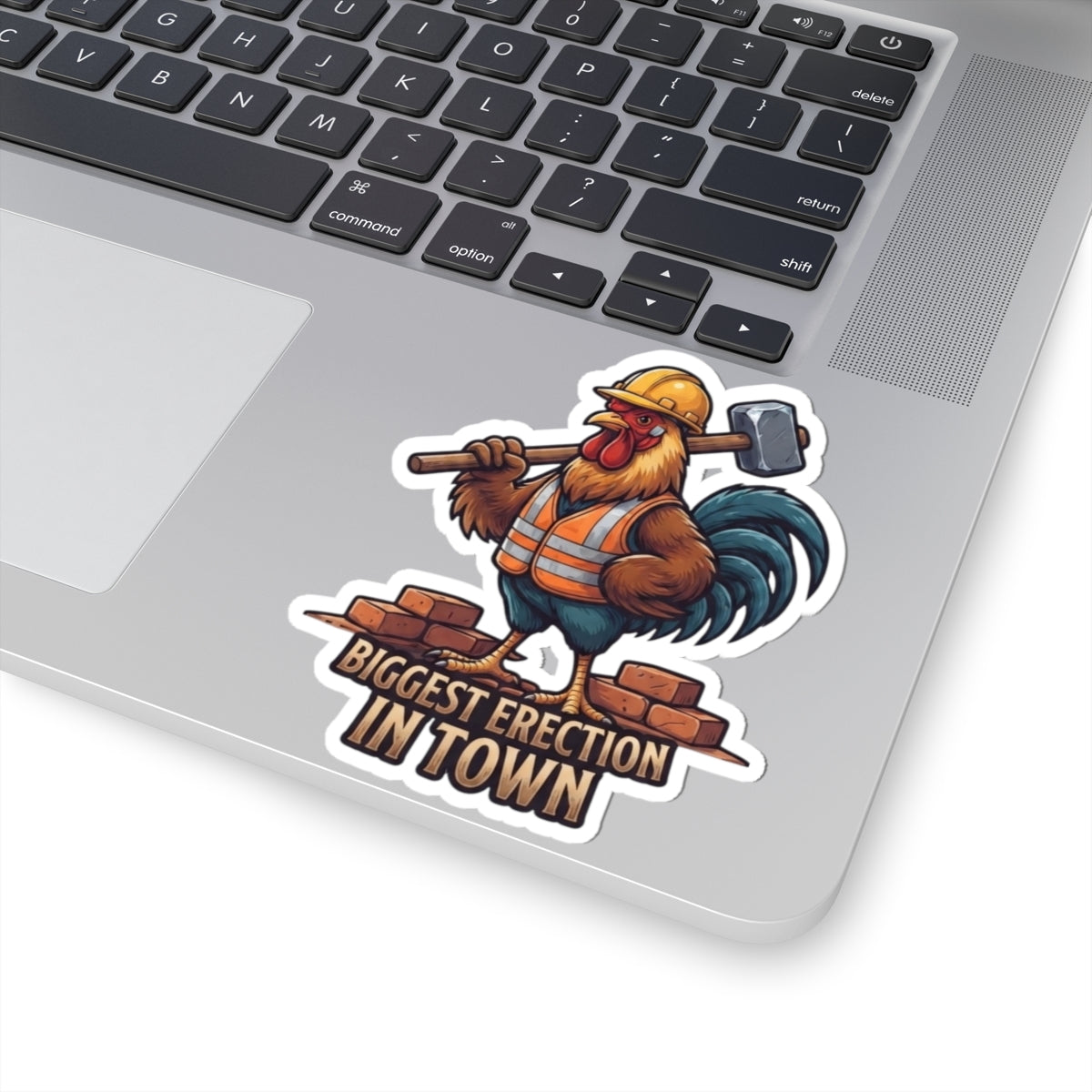 "Biggest Erection in Town" Sticker — Main
