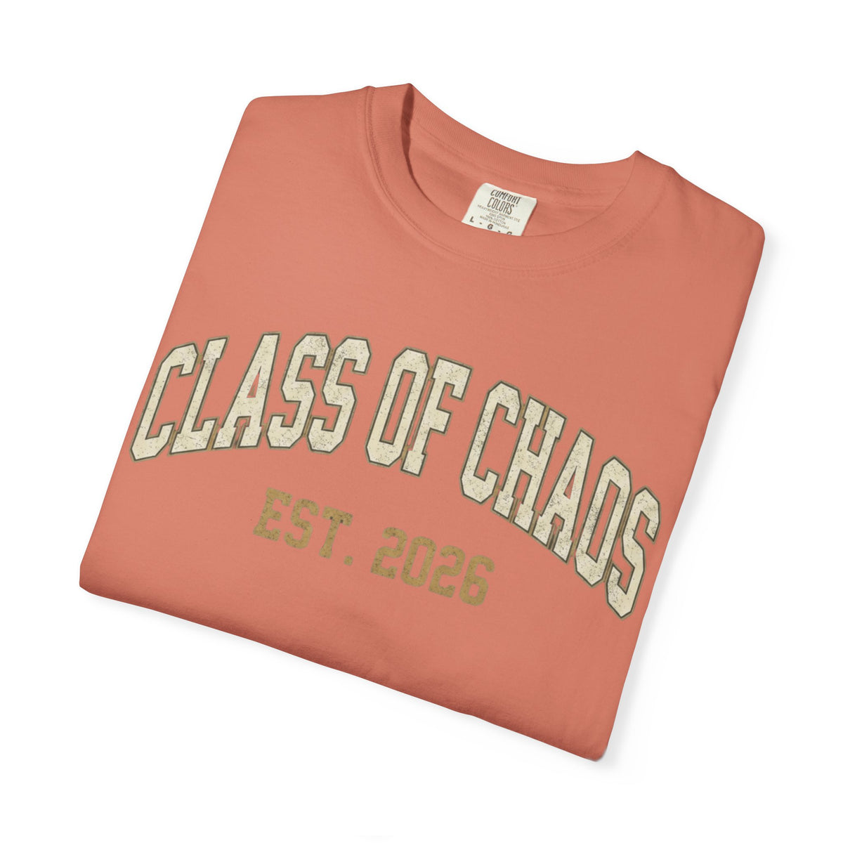 "Class of Chaos" Unisex Garment-Dyed Tee