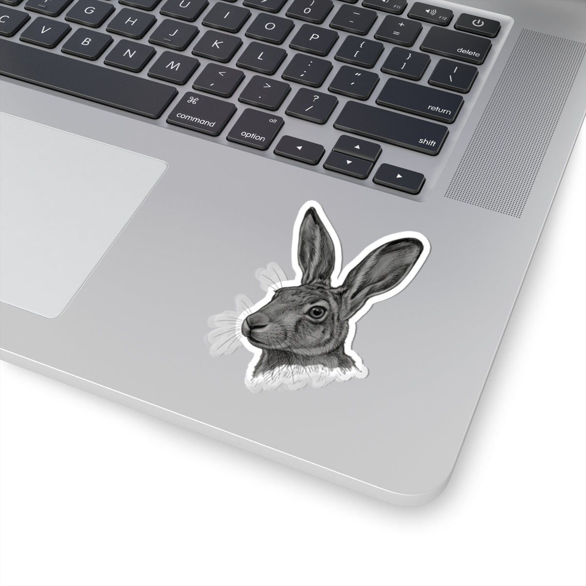 "Pencil Sketch Art Jack Rabbit" Sticker