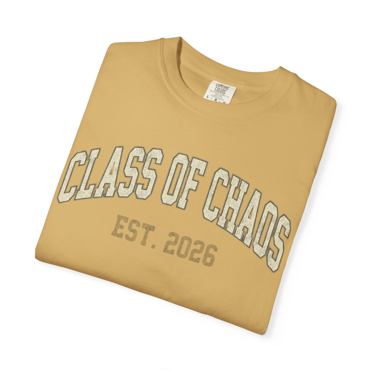 "Class of Chaos" Unisex Garment-Dyed Tee