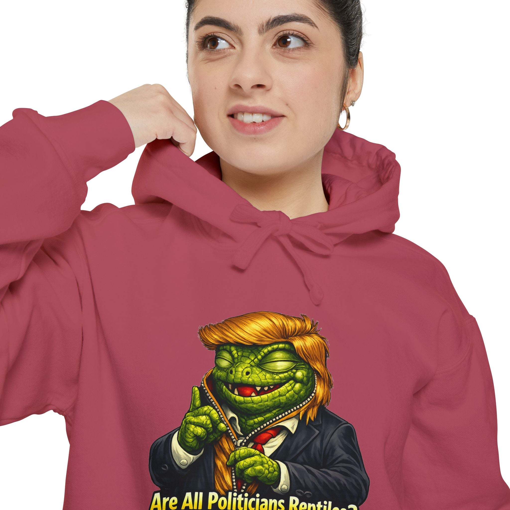 Reptilian Congress Committee | Garment-Dyed Hoodie — AttitudeShirts