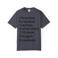 "Periodic Salt" Unisex Garment-Dyed T-shirt