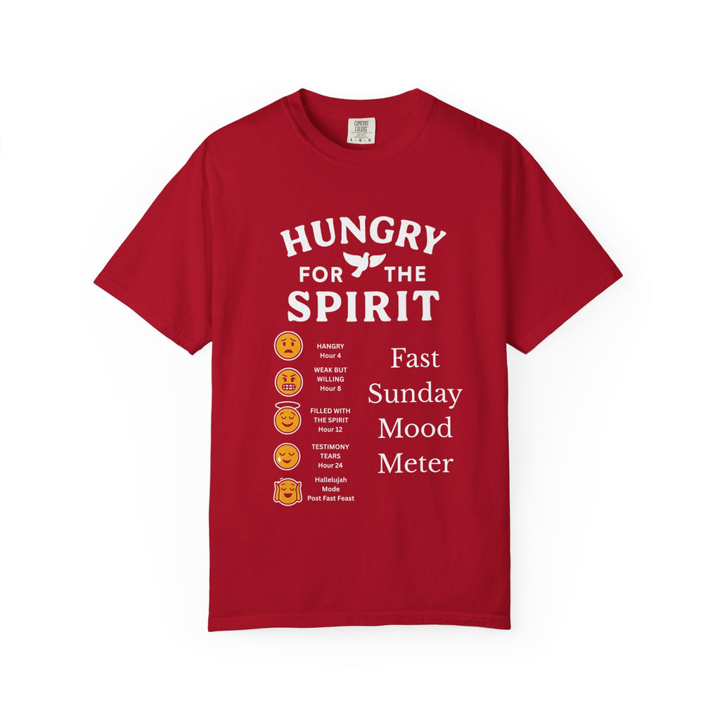 "Fast Sunday Mood Meter" Unisex Garment-Dyed T-shirt