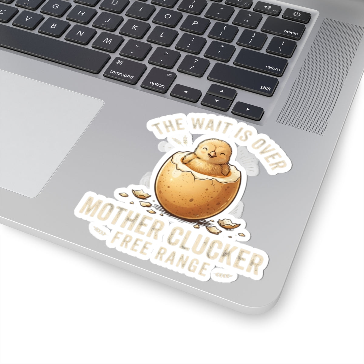 "The Wait is Over" Sticker — Main
