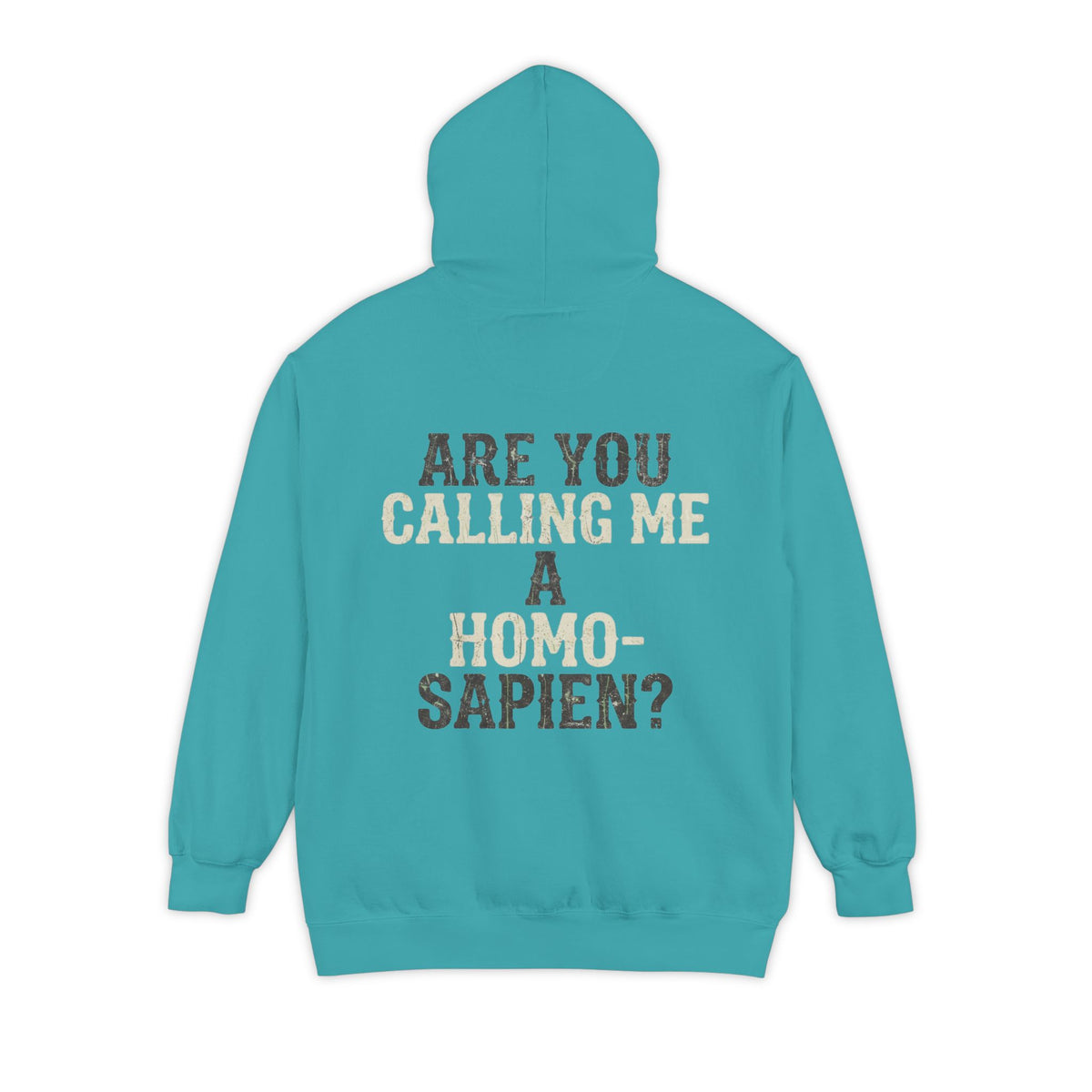 Color: Seafoam | Are You Calling Me a Homo-Sapien Garment-Dyed Hoodie