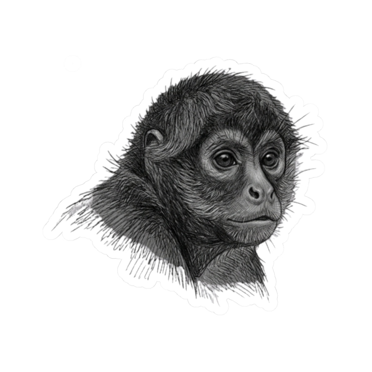 "Pencil Sketch Art Spider Monkey" Sticker