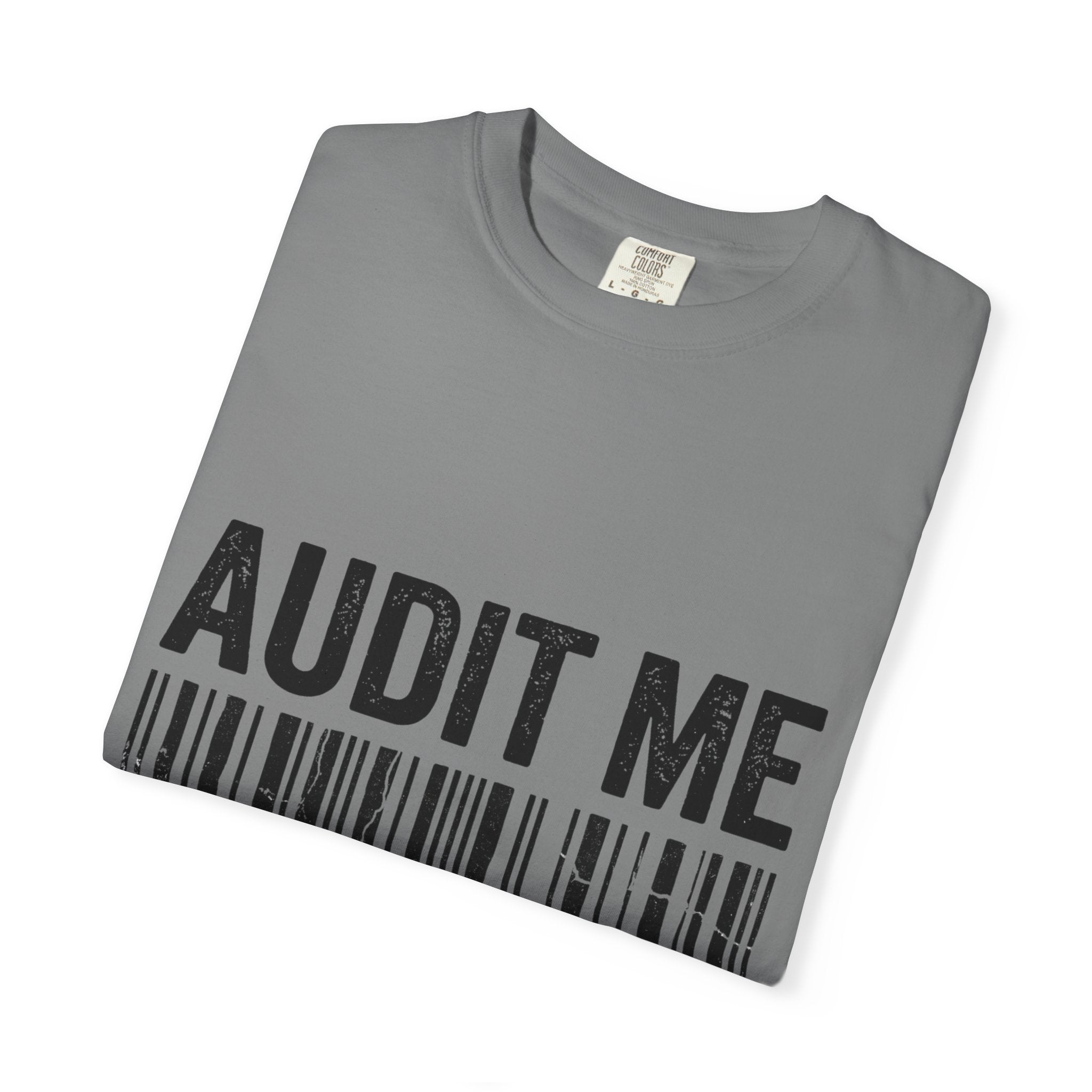 Audit Me, I Dare You | Garment-Dyed Tee — AttitudeShirts