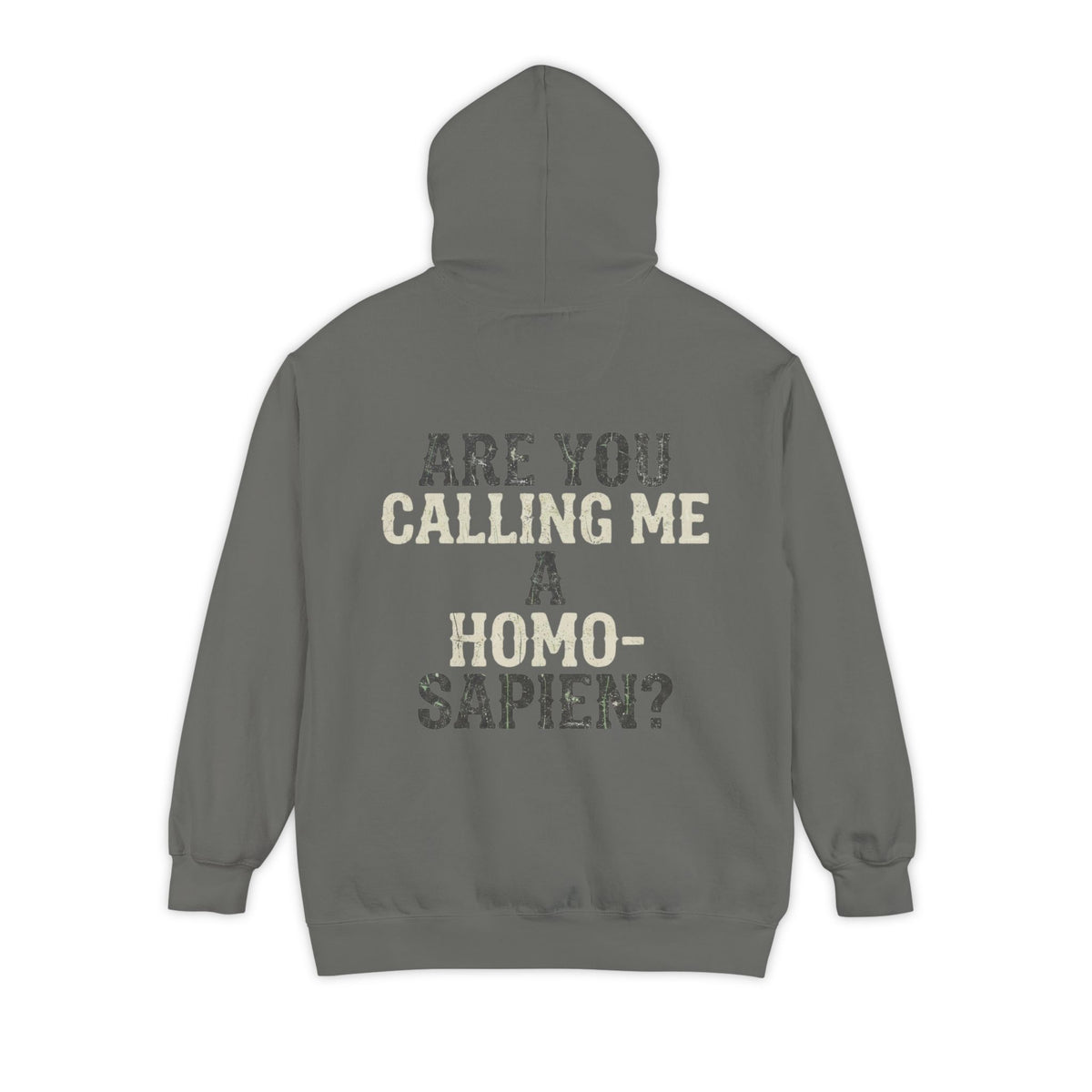 Color: Grey | Are You Calling Me a Homo-Sapien Garment-Dyed Hoodie