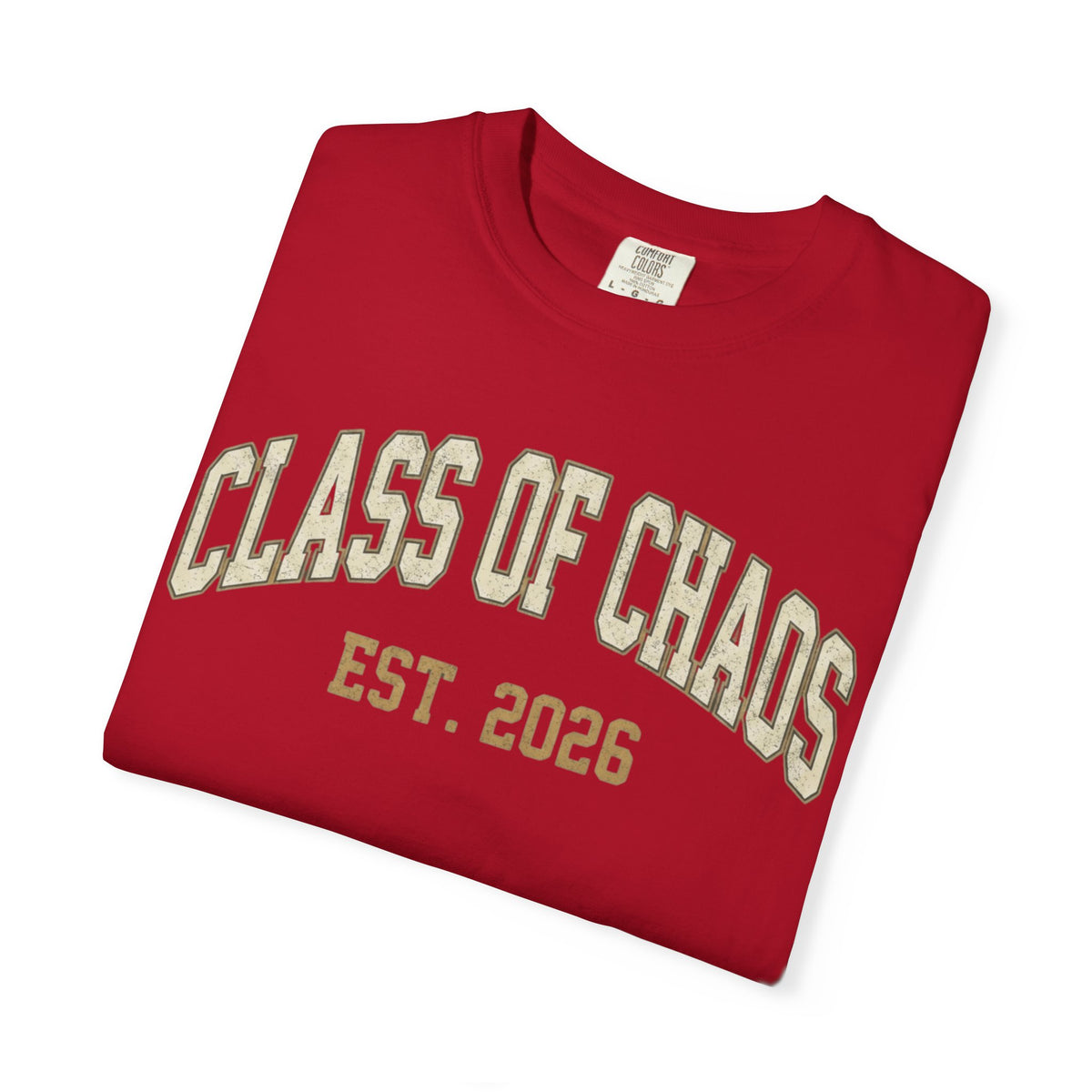 "Class of Chaos" Unisex Garment-Dyed Tee