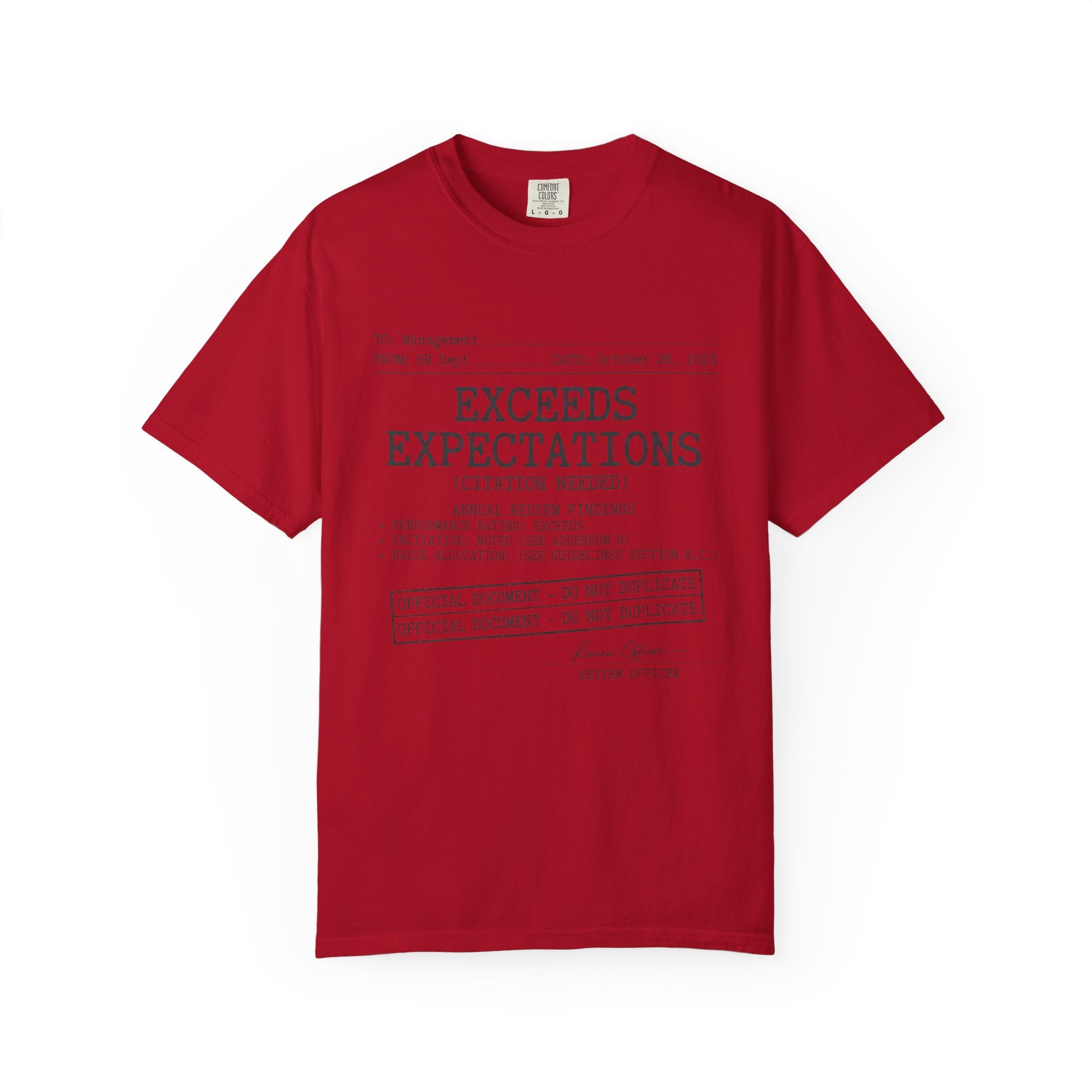 "Exceeds Expectations" Unisex Garment-Dyed Tee
