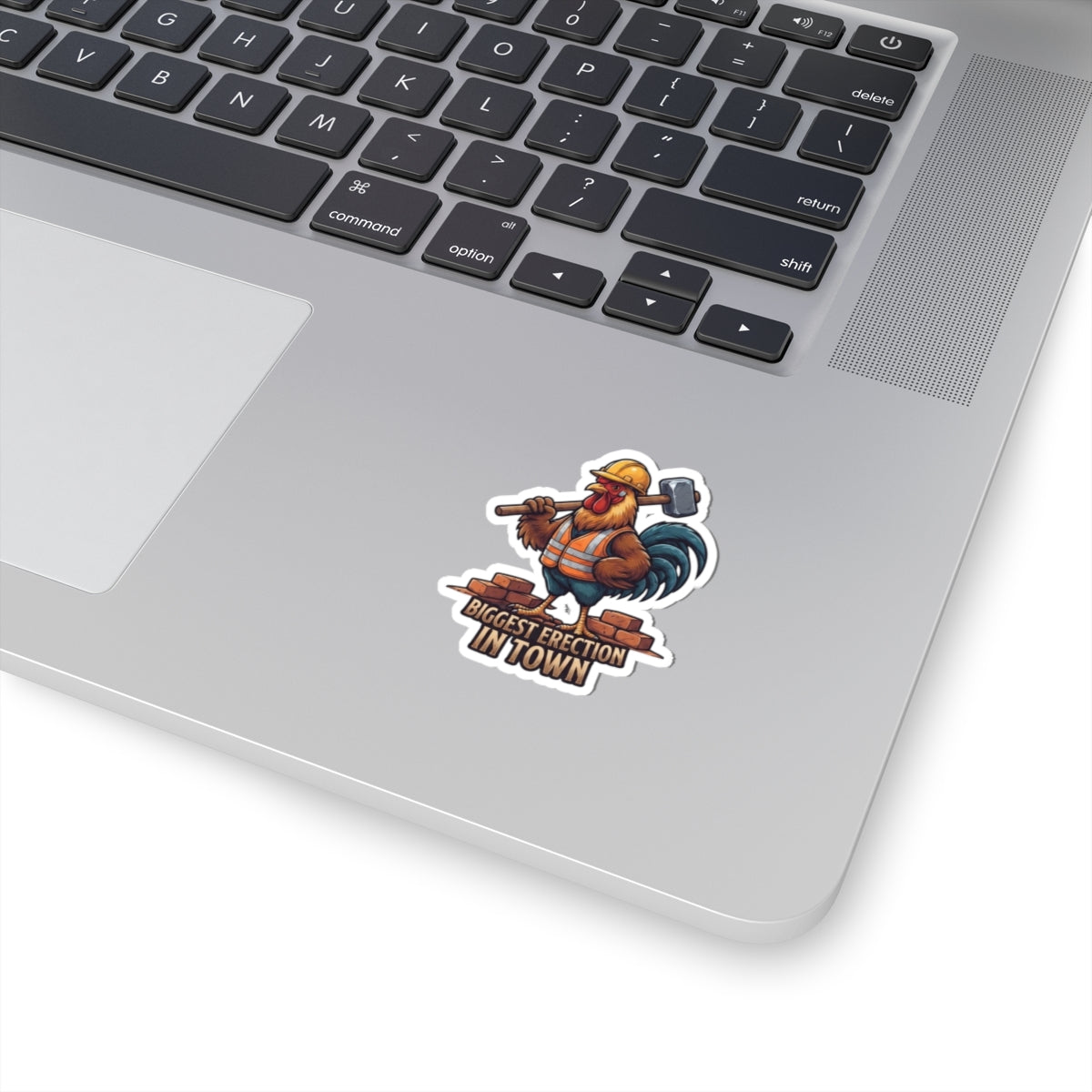 "Biggest Erection in Town" Sticker — Main