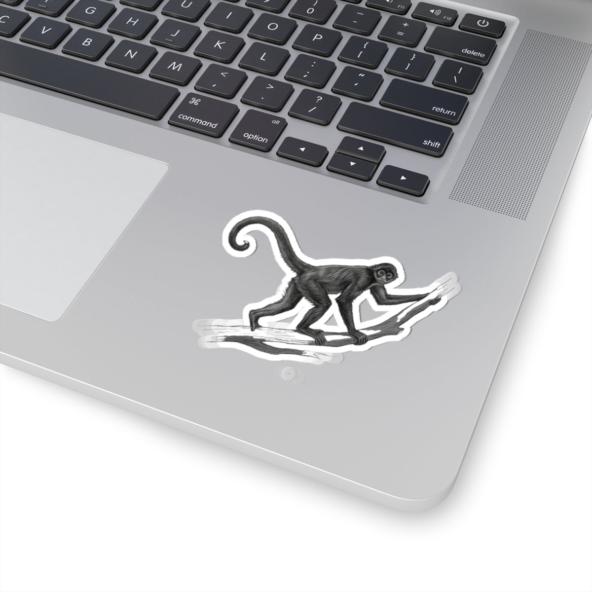 "Pencil Sketch Art Spider Monkey" Sticker — Main