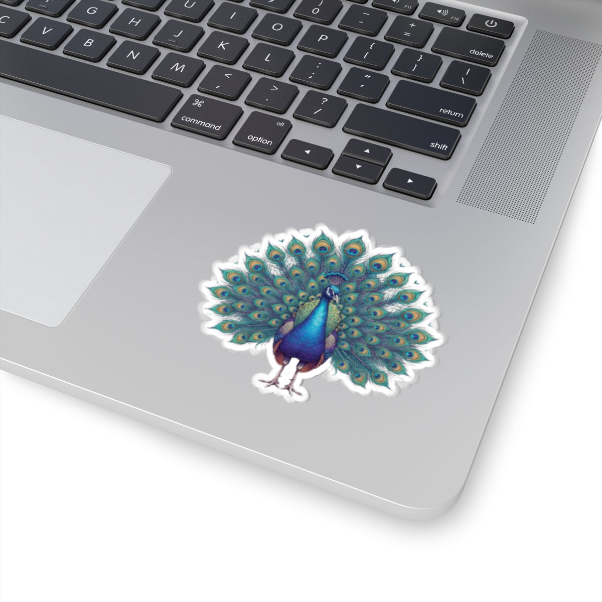 "Hippy Peacock" Sticker — Main