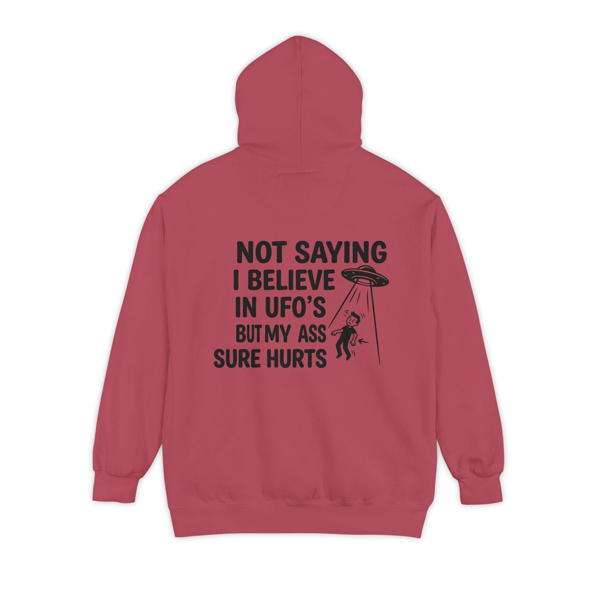 "UFO's" Garment-Dyed Hoodie